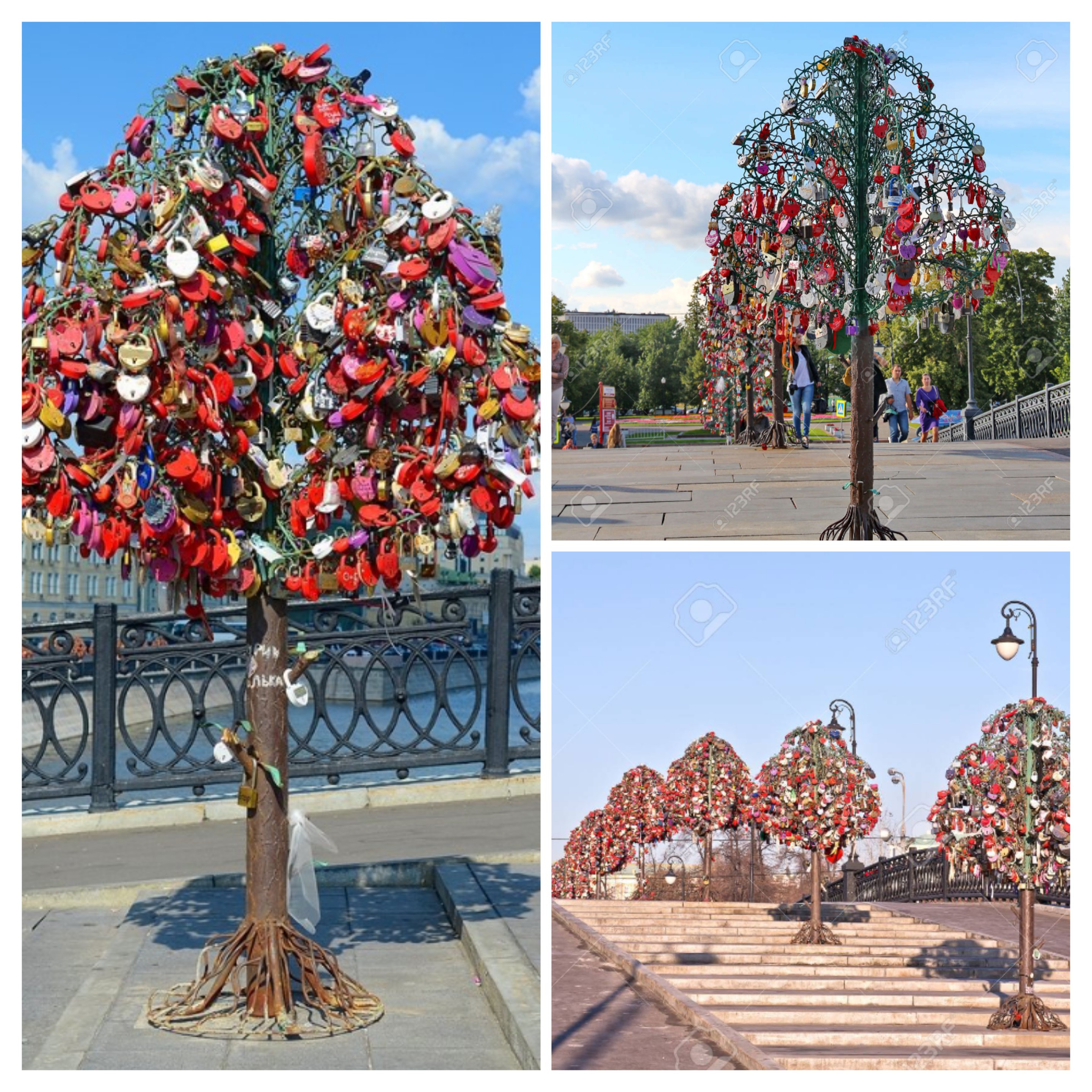Imatge pels mitjans: L&#39;arbre que ens uneix